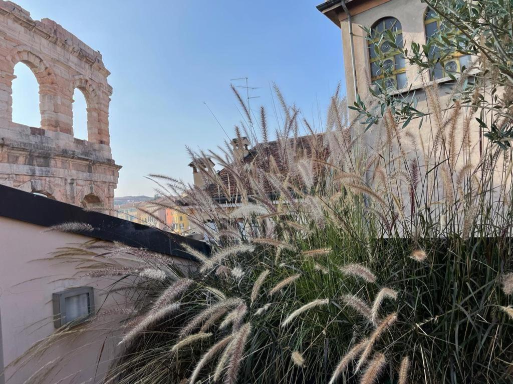 La Terrazza Sull'Arena Apartment Verona Luaran gambar