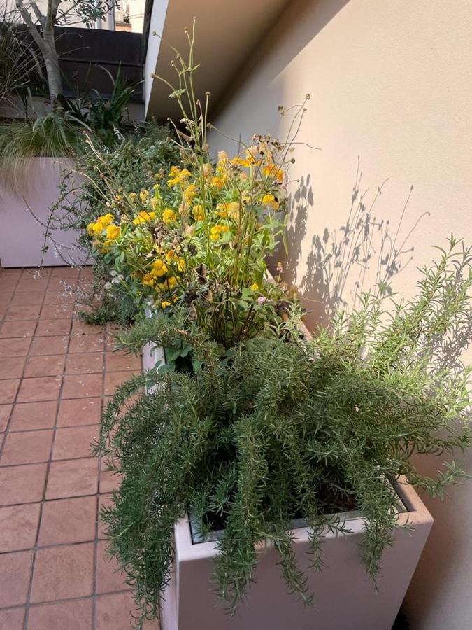 La Terrazza Sull'Arena Apartment Verona Luaran gambar